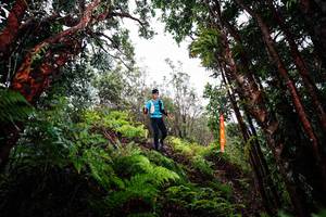 BIB: 
                            <button type="button" onclick="openModal(26201779)" class="btn btn-primary btn-sm float-right btn-popup" data-toggle="modal" data-target=".modal-high-quality">
                        <i class="fas fa-shopping-cart"></i> Add to Cart
                    </button>
                                            <button type="button" onclick="isThisMe(26201779, true)" class="btn btn-success btn-sm float-right btn-popup btn-isme hidden" data-toggle="tooltip" data-placement="bottom" title="นี่คือรูปของคุณใช่ไหม คลิกที่นี่เพื่อเอาเข้าอัลบั้ม">
                        <i class="fas fa-plus"></i> Add to album
                    </button>
                    <button type="button" onclick="isThisMe(26201779, false)" class="btn btn-warning btn-sm float-right btn-popup btn-isnotme hidden">
                        <i class="fas fa-ban"></i> Remove from album
                    </button>